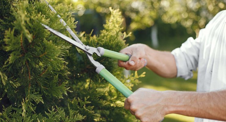 tips για να φροντίσεις τον κήπο σου